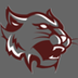 High School Website